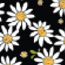 Pop Quiz Lunch Box Little Herschel - 5L - Daisy Days